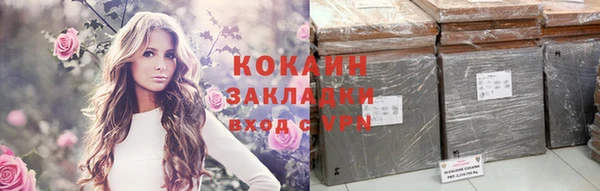 стафф Бородино
