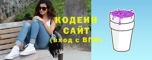 стафф Бородино