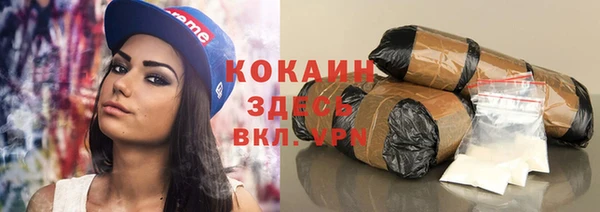 стафф Бородино