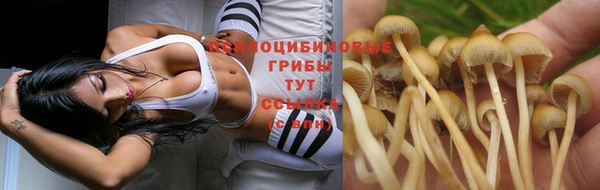 экстази Тайга