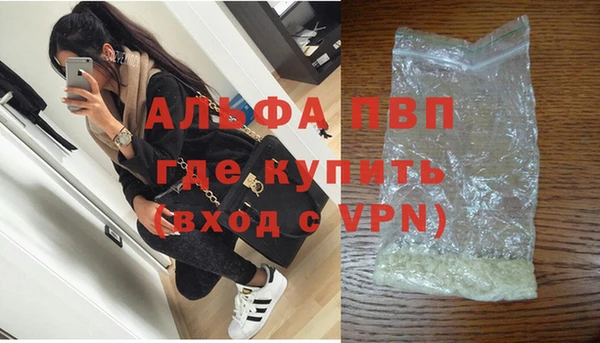 стафф Бородино