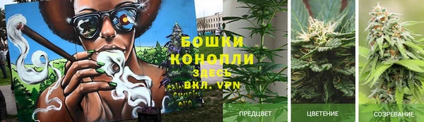 стафф Бородино