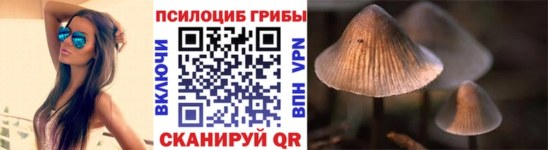 Псилоцибиновые грибы Cubensis  mega маркетплейс  Абакан 